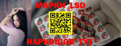 Альфа ПВП Новодвинск
