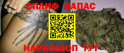 Альфа ПВП Новодвинск