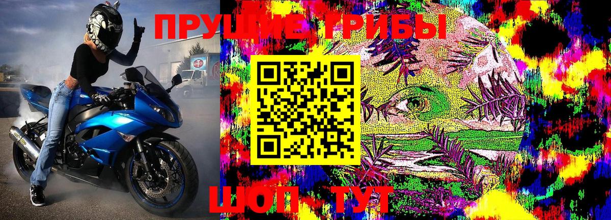 Псилоцибиновые грибы MAGIC MUSHROOMS  Вход с VPN  Семёнов 