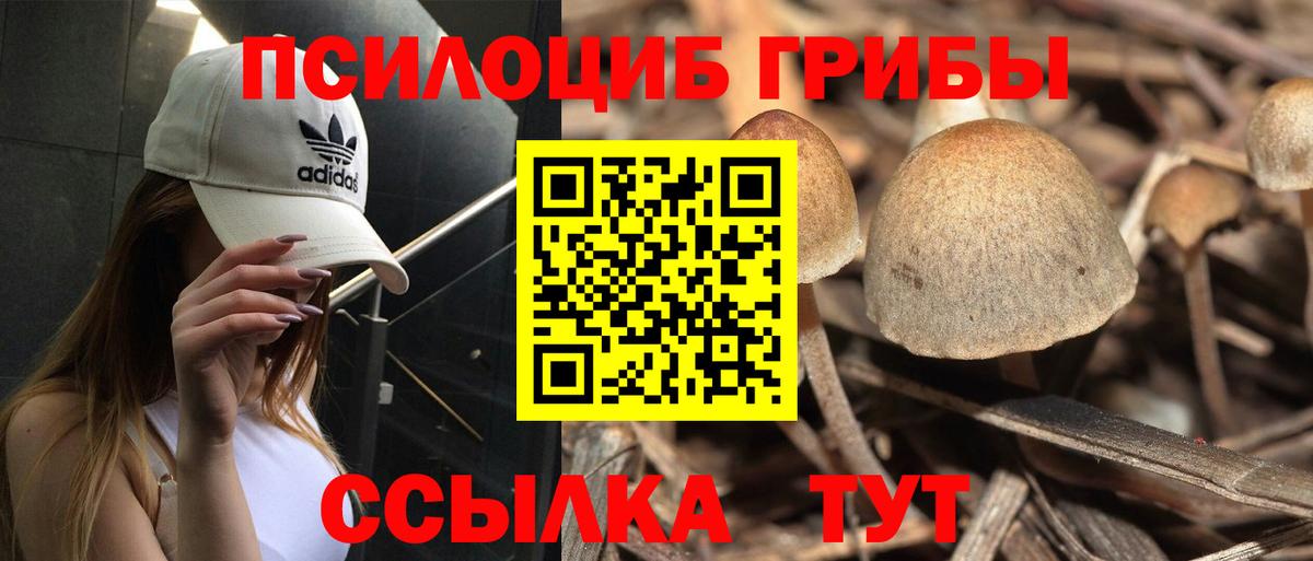 Галлюциногенные грибы ЛСД Семёнов